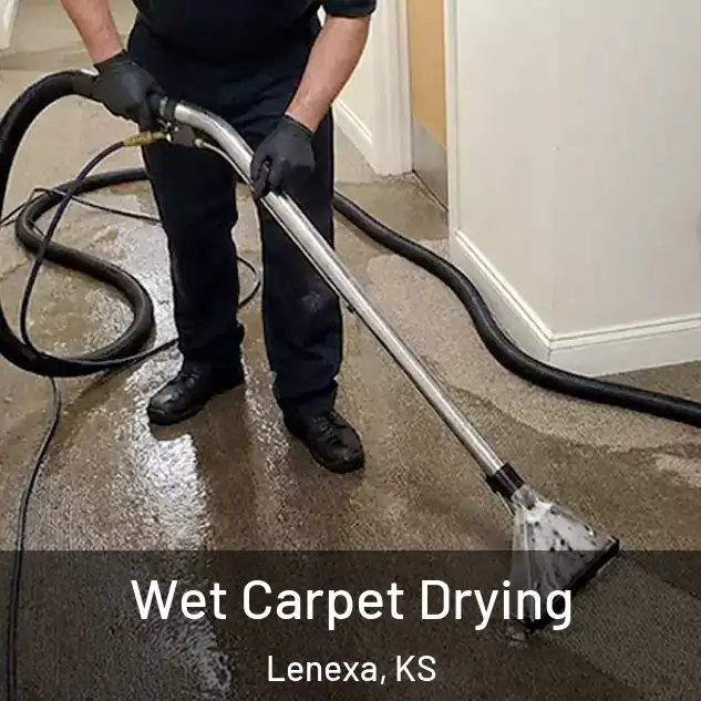  Wet Carpet Drying Lenexa, KS