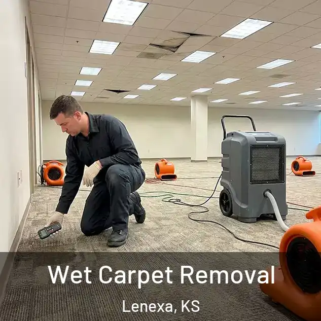  Wet Carpet Removal Lenexa, KS